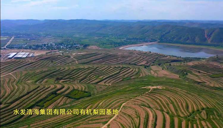 水发宁夏现代农业一二三产业融合示范产业园区(图4)