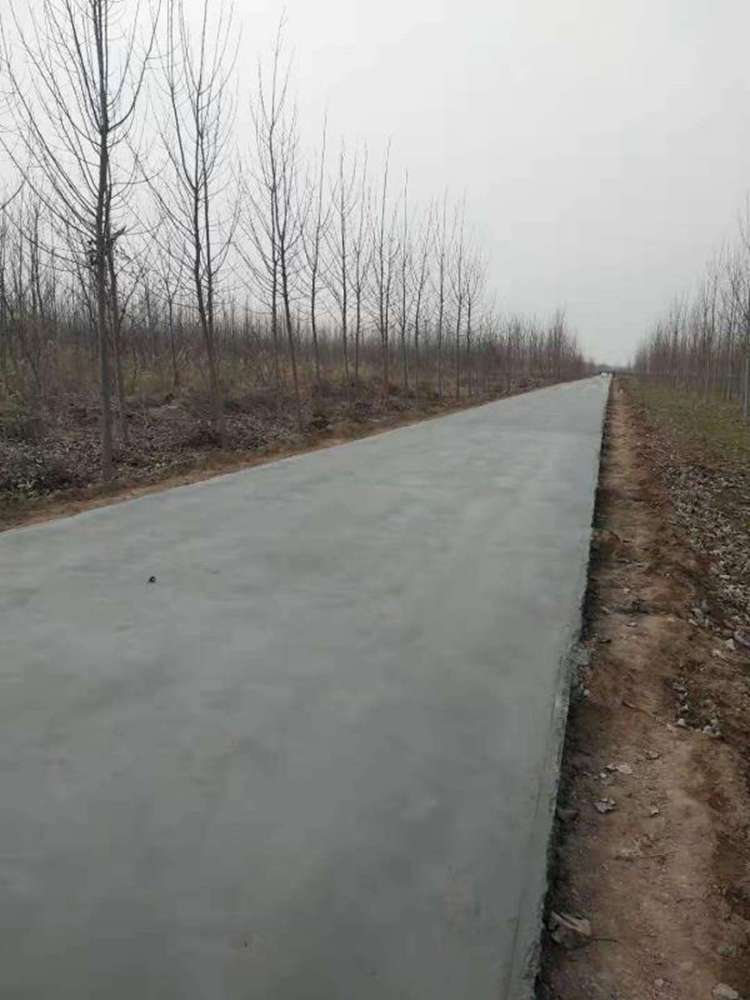 2019年东营市高标准农田建设项目(图8)