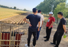 鄄城县水利局领导视察黄河滩区项目(图2)